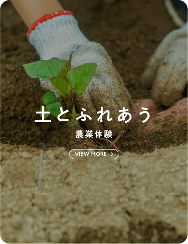 土とふれあう